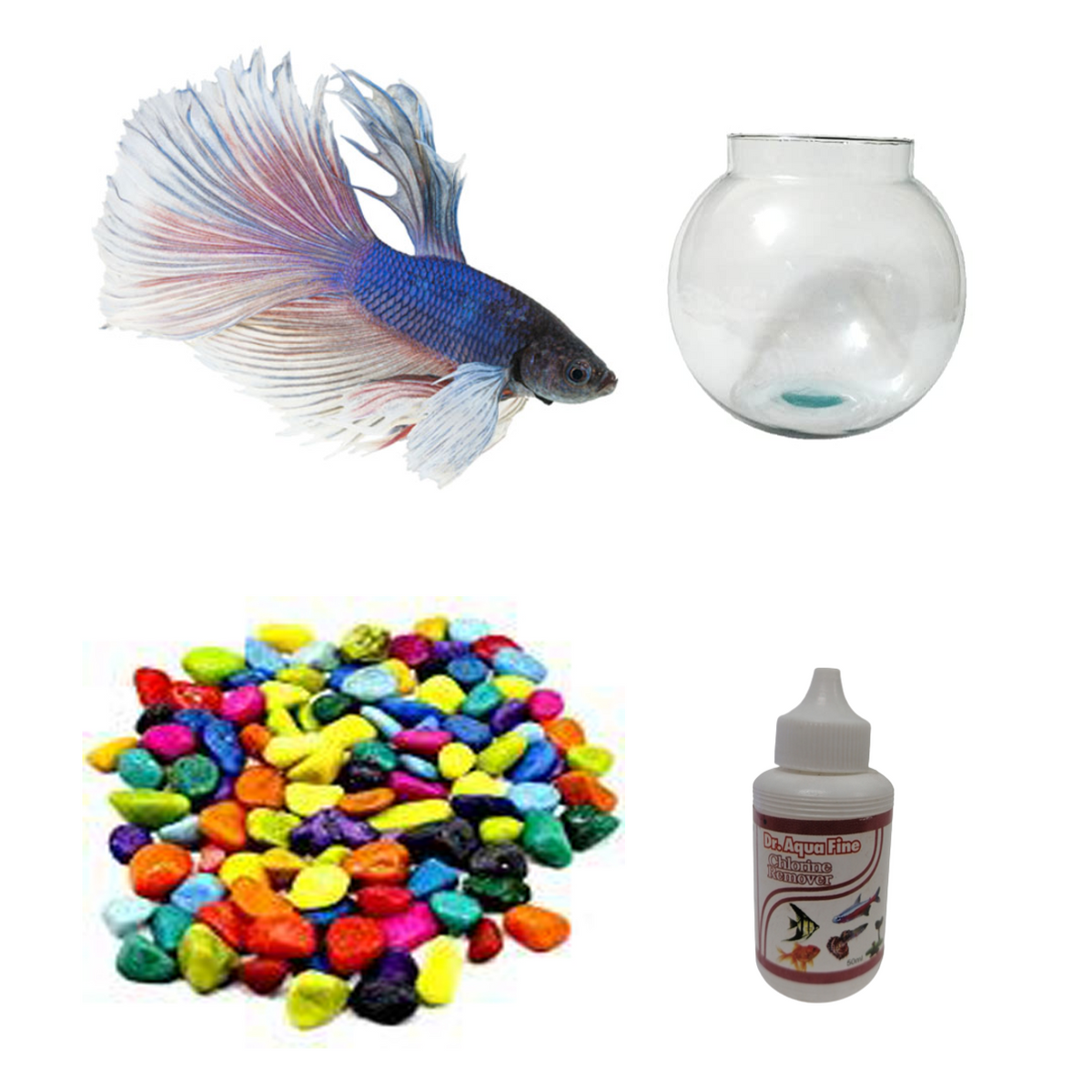Betta Fish Combo With Medicine –