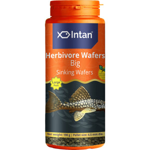 Intan - Herbivore Wafers (Big)