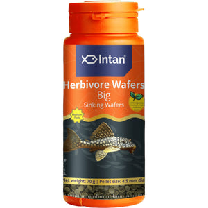 Intan - Herbivore Wafers (Big)