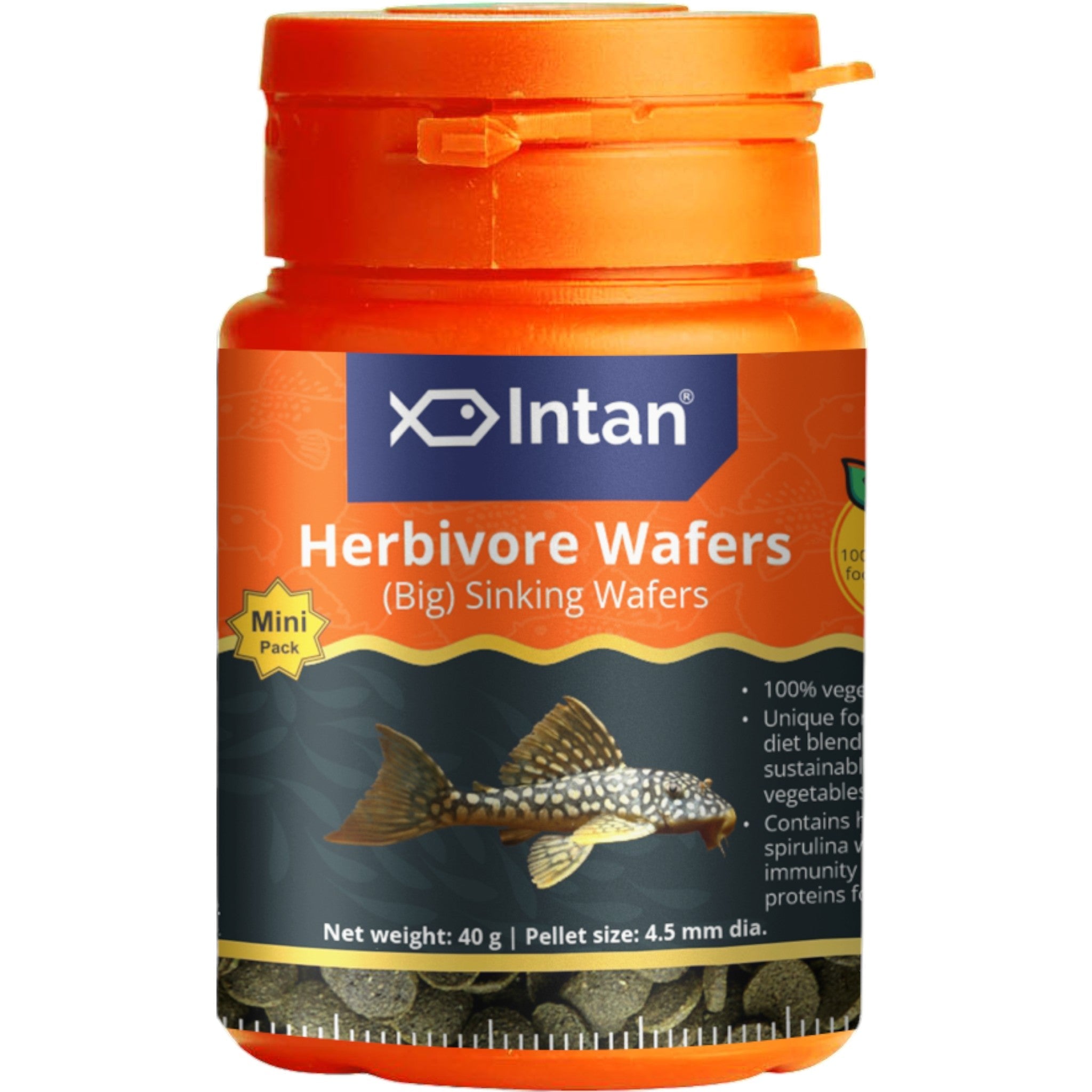 Intan - Herbivore Wafers (Big)