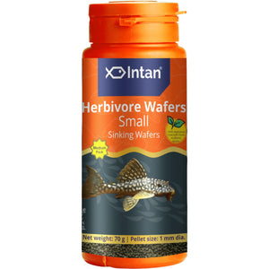 Intan - Herbivore Wafers (Small)