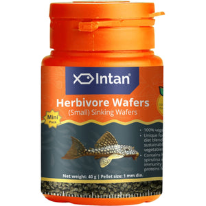 Intan - Herbivore Wafers (Small)