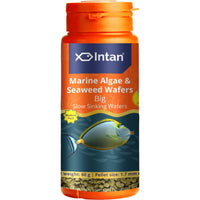 Load image into Gallery viewer, Intan - Marine Algae &amp; Seaweed Wafers (Big)