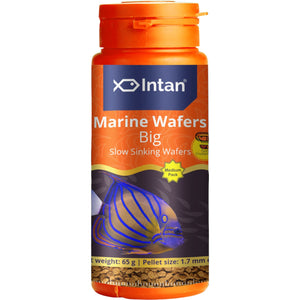 Intan - Marine Wafers (Big)