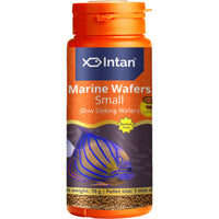 Load image into Gallery viewer, Intan - Marine Wafers (Small)