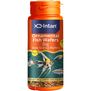 Intan - Ornamental Fish Wafers (Big)