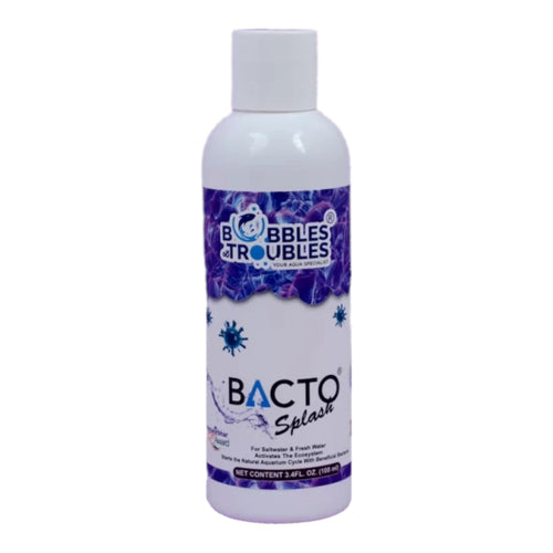 B&T BactoSplash (Beneficial Bacteria)