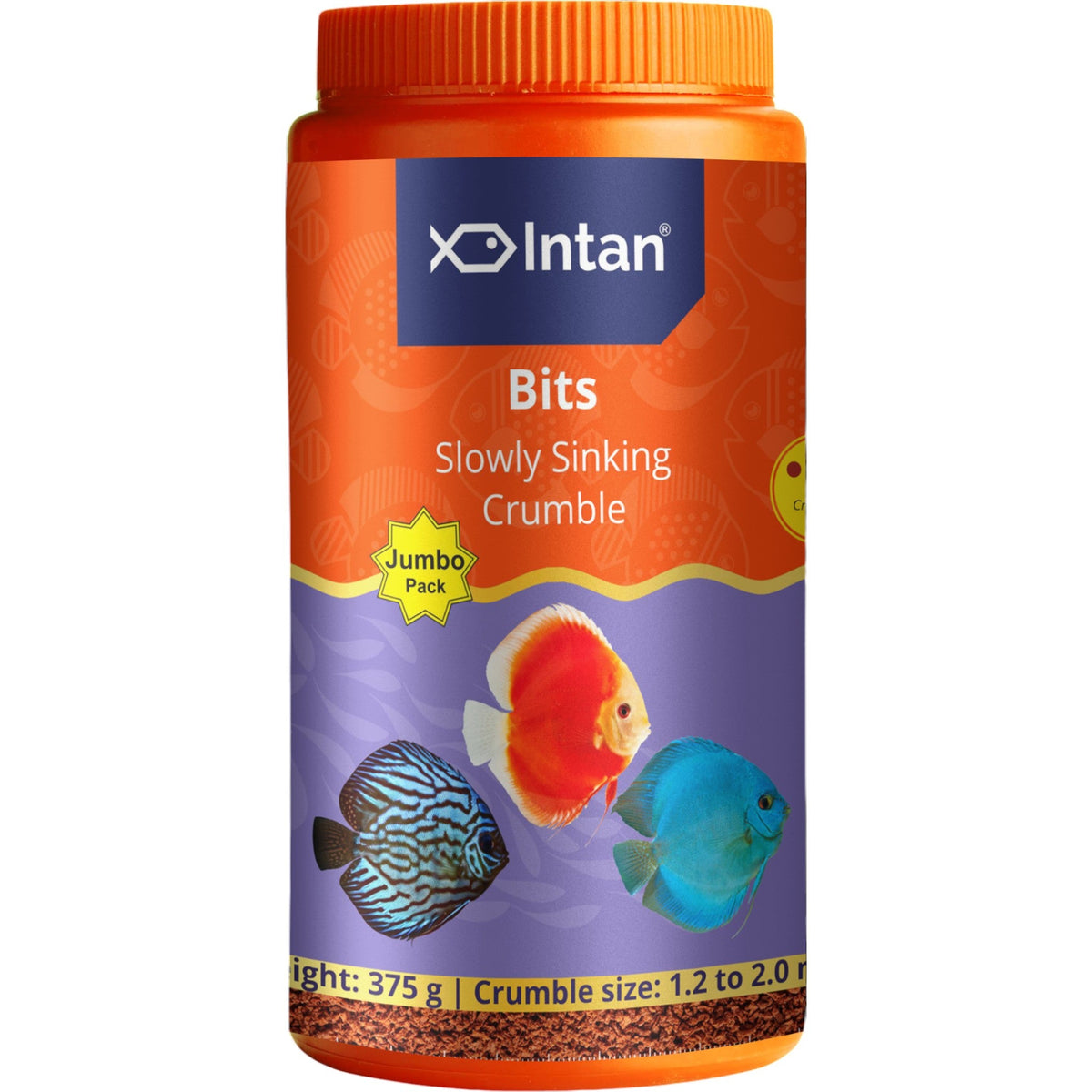 Intan Bits – Fishykart.in