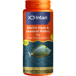 Intan - Marine Algae & Seaweed Wafers (Big)