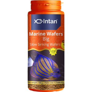 Intan - Marine Wafers (Big)