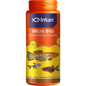 Intan - Micro Bits