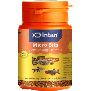 Intan - Micro Bits